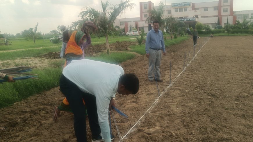 कृषि महाविद्यालय कुम्हेर पर लगाया गया क्र्रोप केफेटेरिया