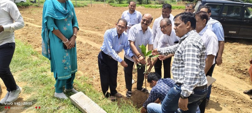 जिला कलेक्टर ने लिया कृषि योजनाओं का जायज़ा: किसानों से फार्म पोंड योजना का लाभ लेने की अपील