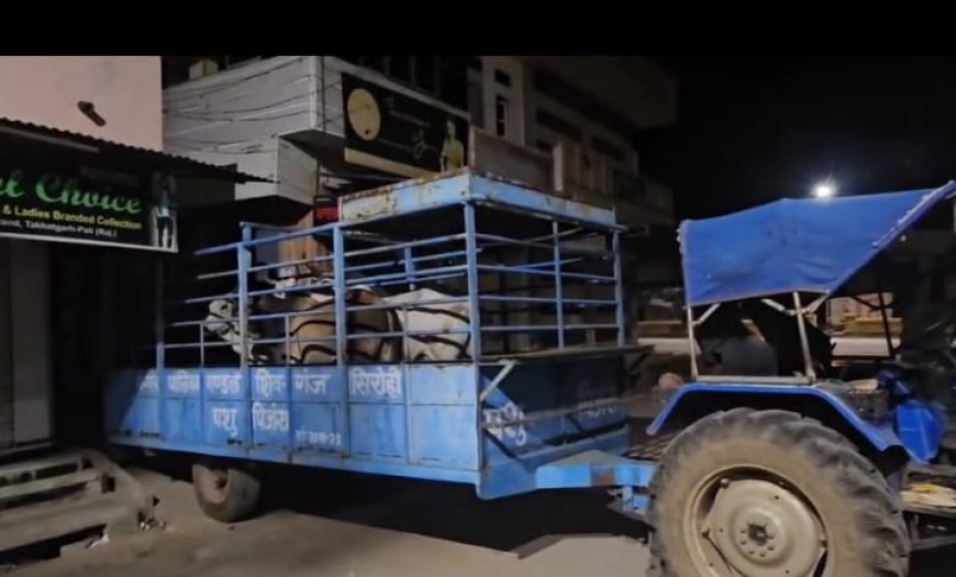 बेसहारा गोवंशो को  पकड़ने में जुटी पालिका प्रशासन