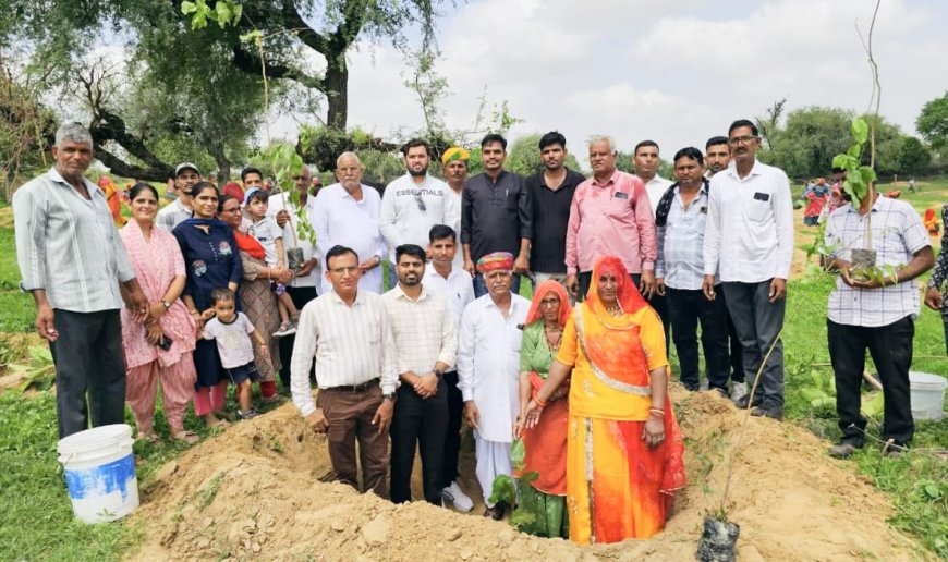 मिशन हरियालो राजस्थान के तहत किया पौधरोपण