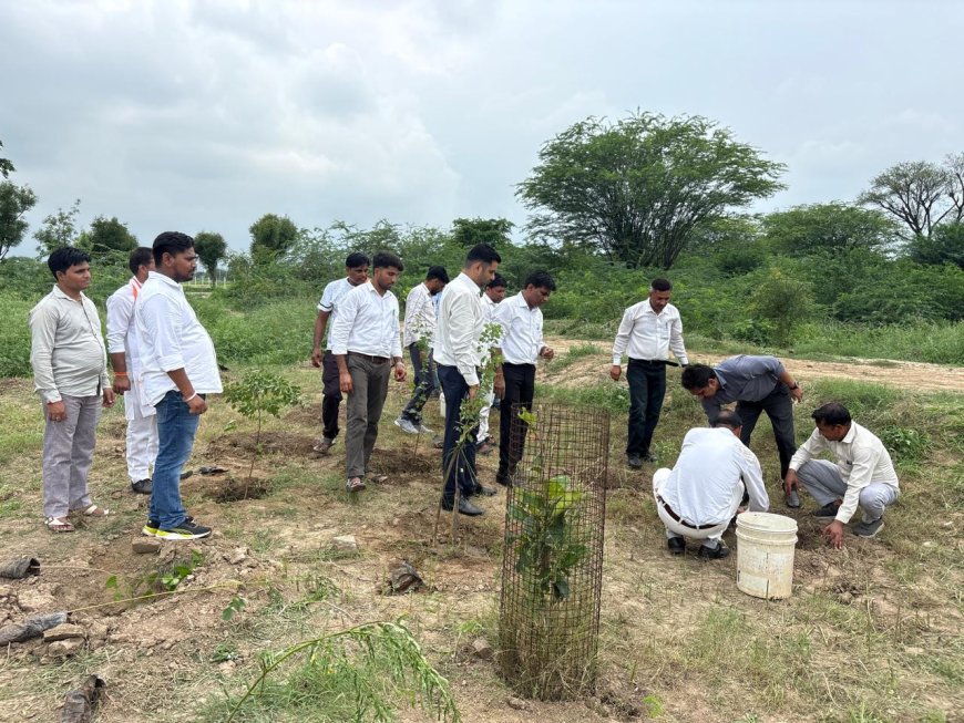 अभिभाषक संघ ने हनुमान मंदिर परिसर में किया पौधारोपण