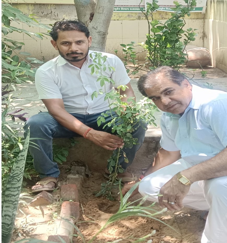 उदयपुरवाटी में पौधारोपण अभियान, एक पेड़ मां के नाम