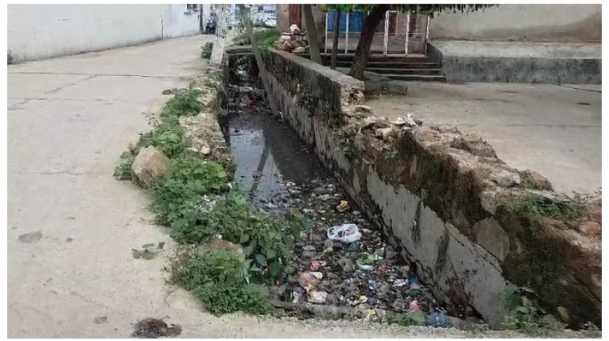गंदगी और कचरे से अटे पड़े हैं नाले टूट गई सुरक्षा दीवार विधुत पोल गिरने का खतरा