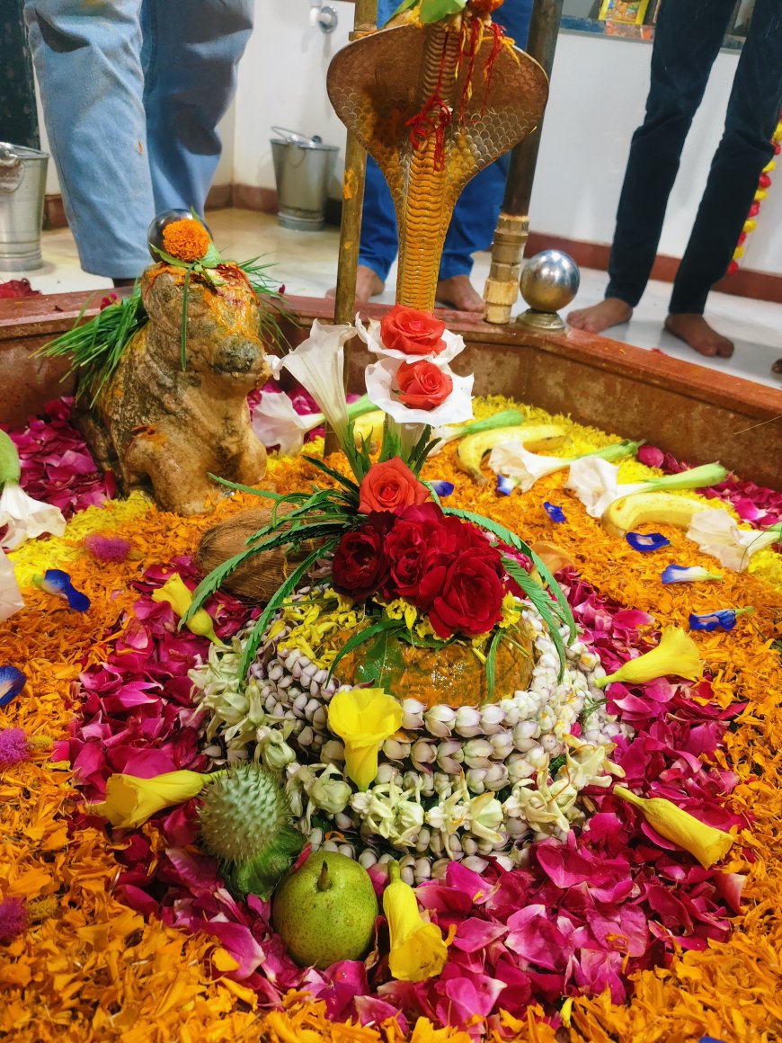 सावन के पहले सोमवार पर शिवालियों में भक्तों की रही भारी भीड़: शिव भक्तों ने दिनभर की भगवान शंकर की पूजा अर्चना