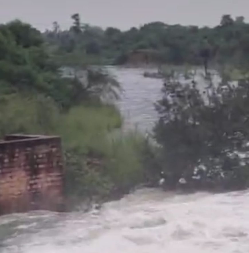 भरतपुर का बारैठा बांध हुआ लबालब,  बांध का गेज पहुंचा 28 फुट : बांध के 3 गेट खोल पानी की निकासी