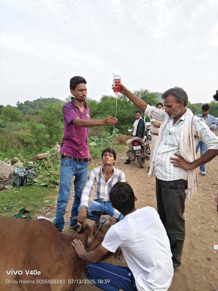 अलवर जिले के कठूमर क्षेत्र में गो तस्करी चरम पर