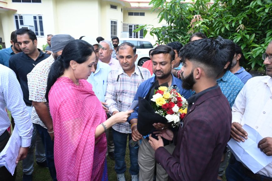 रायसिंहनगर में हरे पेड़ों की अवैध कटाई पर बवाल, उपमुख्यमंत्री को सौंपा गया ज्ञापन