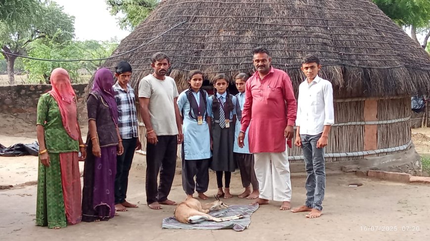 श्वानों के हमले से घायल हिरण को रेस्क्यू कर पहूंचाया वन्यजीव संरक्षण संस्थान