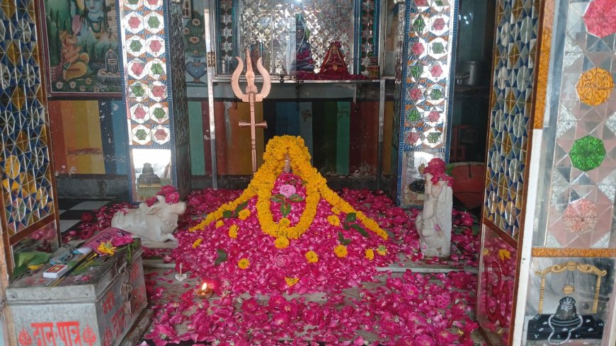 सावन के माह में सदाशिव मंदिर महादेव का किया भव्य श्रृंगार