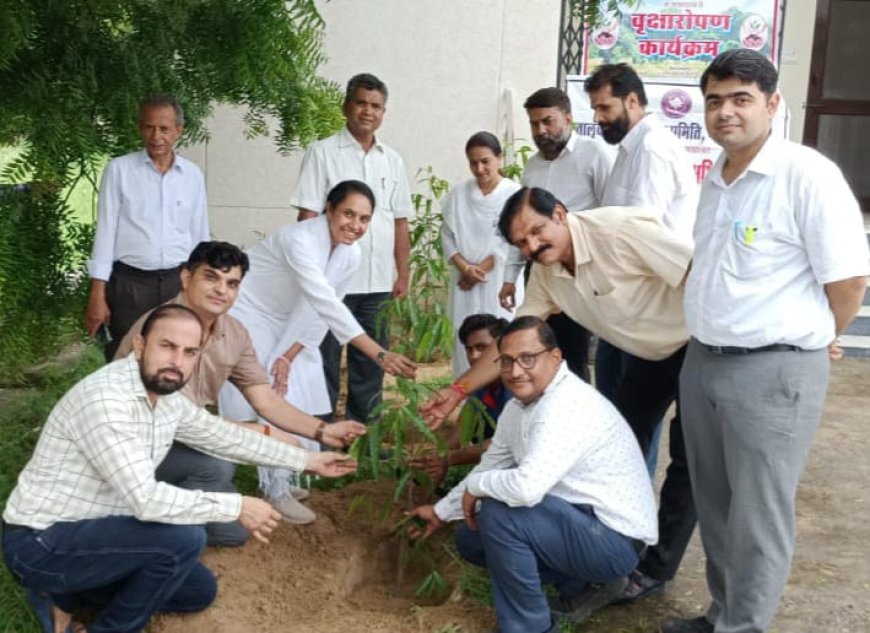 लायंस क्लब महुवा सिटी द्वारा न्यायालय परिसर में किया वृक्षारोपण कार्यक्रम