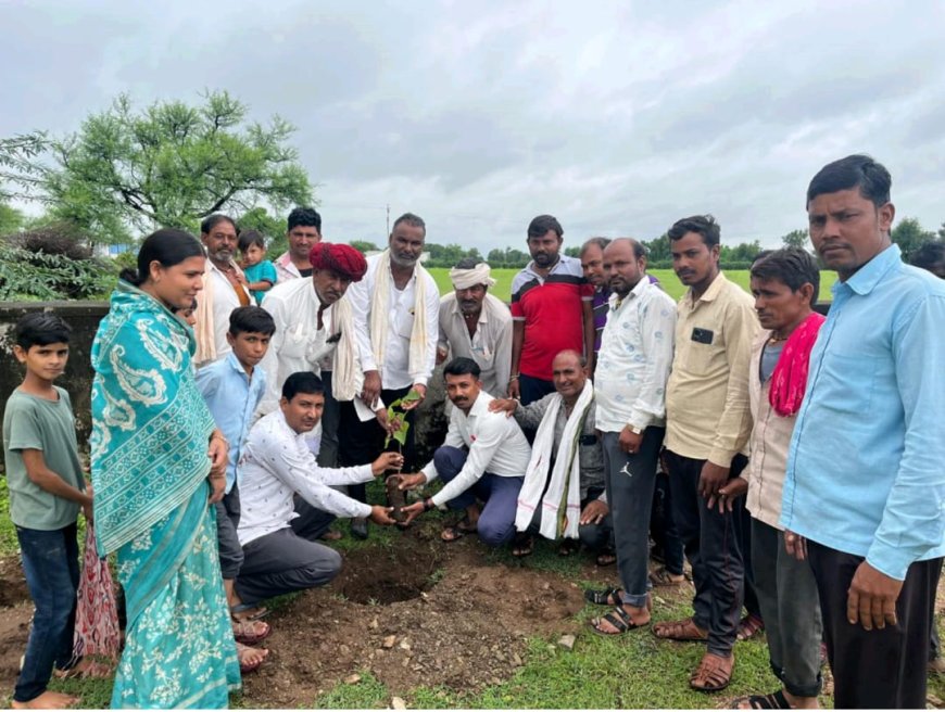 राजकीय प्राथमिक विद्यालय गुदा का खेड़ा में  जन सहयोग द्वारा 320 रनिंग फिट तार जाली करवाकर 60 पौधे रोपे