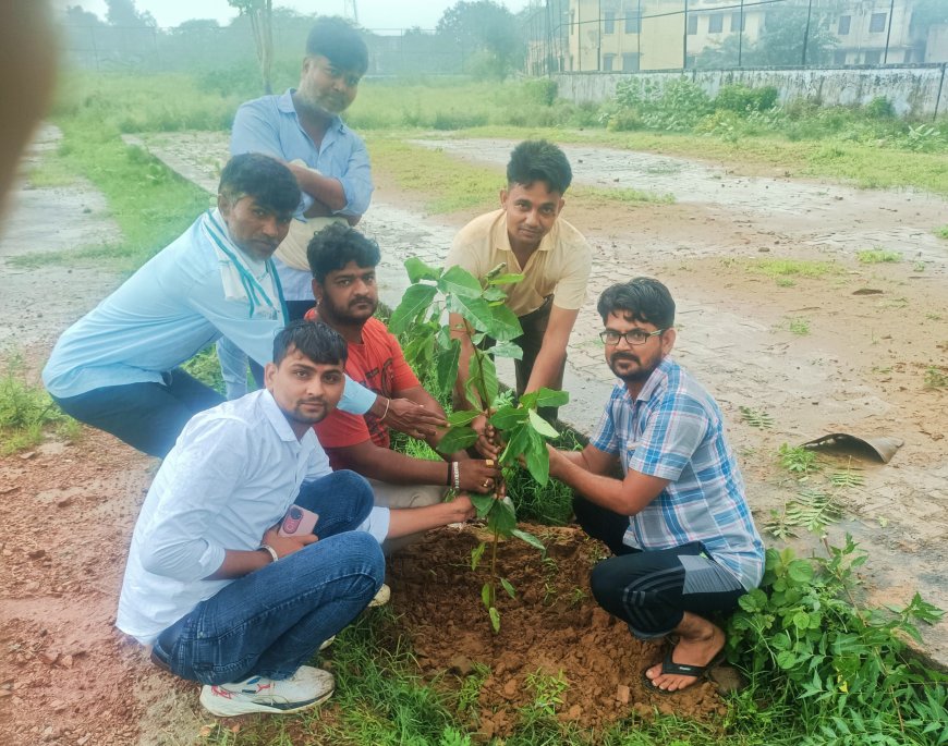 गढ़ीसवाईराम की श्मशान भूमि में जागरूक युवाओं ने लगाए 11 छायादार पेड