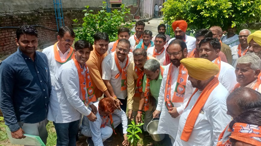 अलवर सांसद एवं केंद्रीय मंत्री भूपेंद्र यादव के निर्देशानुसार भाजपा की बैठक का भीम चेतवाल की अध्यक्षता मे किया गया आयोजन