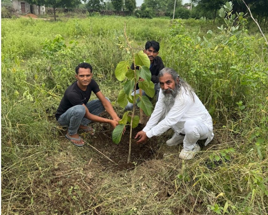 सावन में वृक्षारोपण को बताया मातृभूमि का श्रृंगार  :  सोलंकी