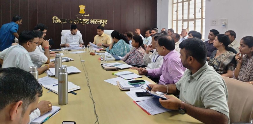 हरियालों राजस्थान के तहत सभी विभाग इसी माह पौधारोपण करें- जिला कलक्टर