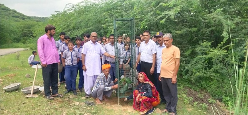 बूढ बालाजी धाम आश्रम पर हरियाली अमावस्या पर हुआ वृक्षारोपण