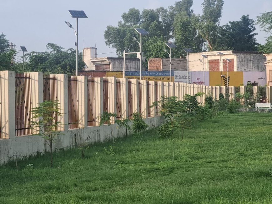 मुख्यमंत्री वृक्षारोपण महाअभियान : "हरयाळो राजस्थान" के तहत खैरथल-तिजारा में वृक्षारोपण की धूम