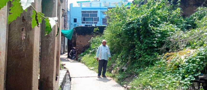 तंग गलियों में पसरा अंधेरा, लाइटें बंद, कचरे के ढेर, नगर परिषद बेखबर रात में अंधेरे से सहमीं महिलाएं