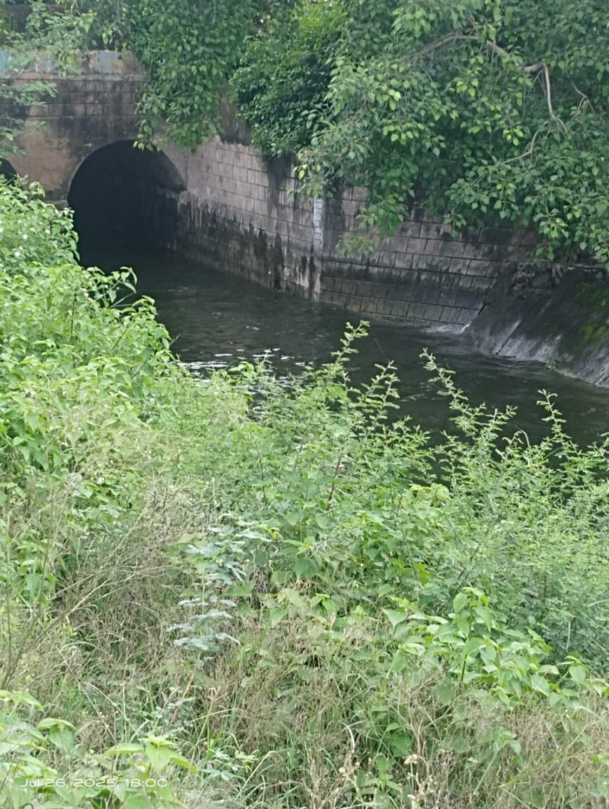 मेजा बांध जल्द होगा लबालब, मातृकुंडिया बांध से मेजा फीडर  द्वारा पानी मेजा बांध छोड़ा, सुनकर लोगों के खिल उठे चेहरे