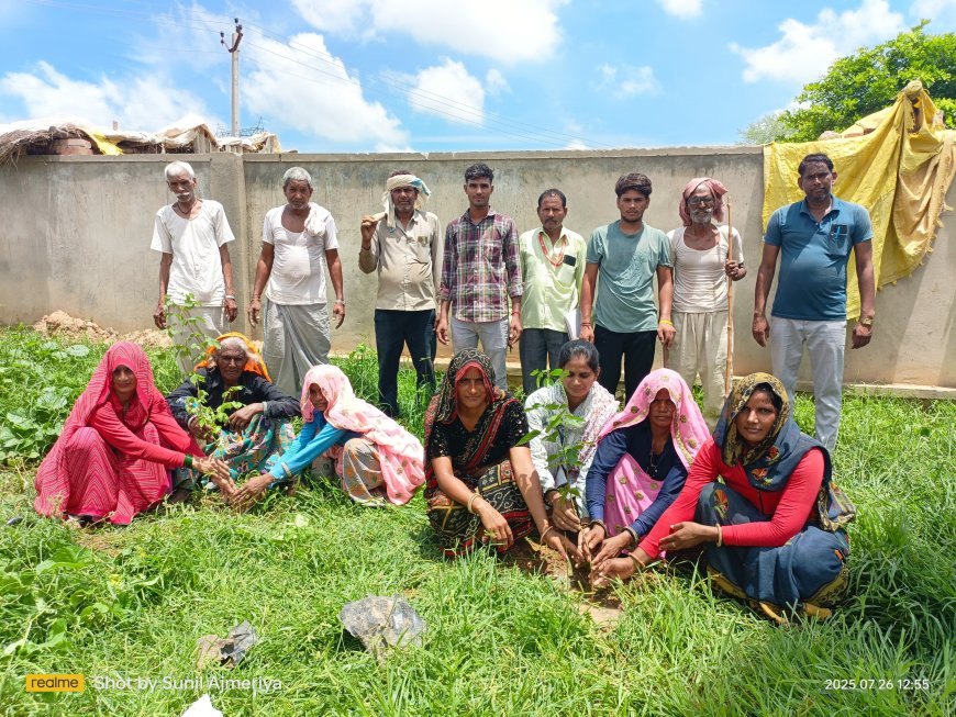 एफईडी दूसरा दशक के सौजन्य से हरियाली तीज के पावन पर्व पर लगाए पौधे