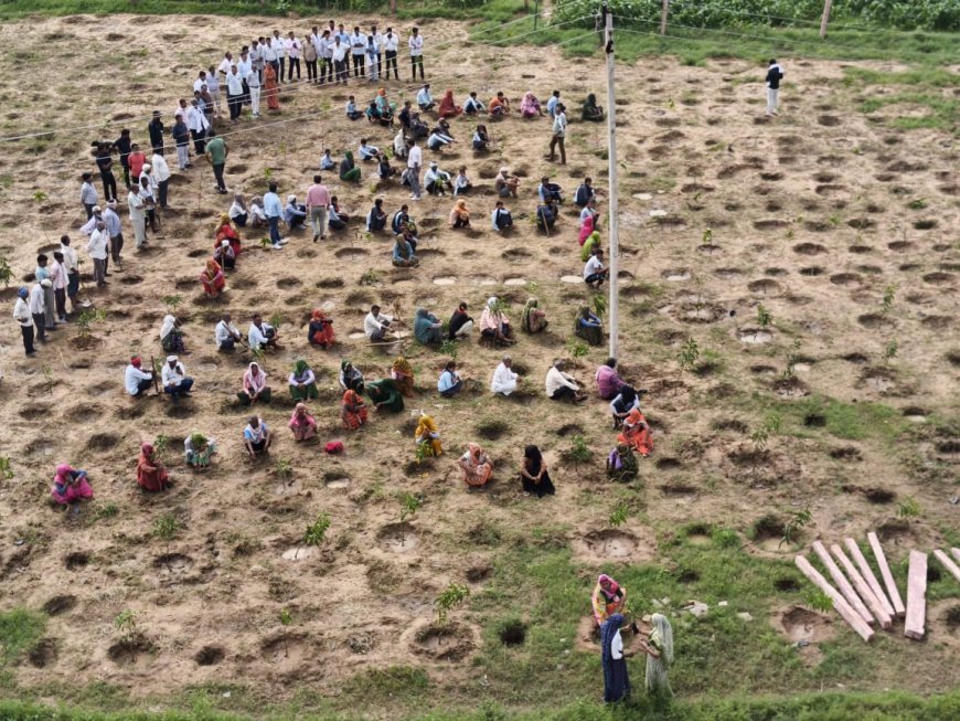 हरियालो राजस्थान अभियान के तहत ब्लॉक स्तरीय कार्यक्रम का आयोजन