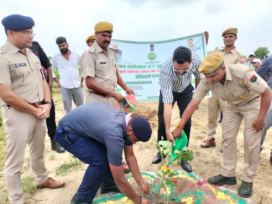 हरियालो राजस्थान अभियान में जिलेभर में लगाये एक दिवस में 6 लाख पौधे हरियाली तीज पर गांव से लेकर जिला मुख्यालय रोपे पौधे