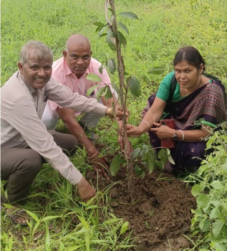 हरियालो राजस्थान अभियान के अंतर्गत पूर्व जिला शिक्षा अधिकारी के फार्म हाउस में  लगाए पेड़