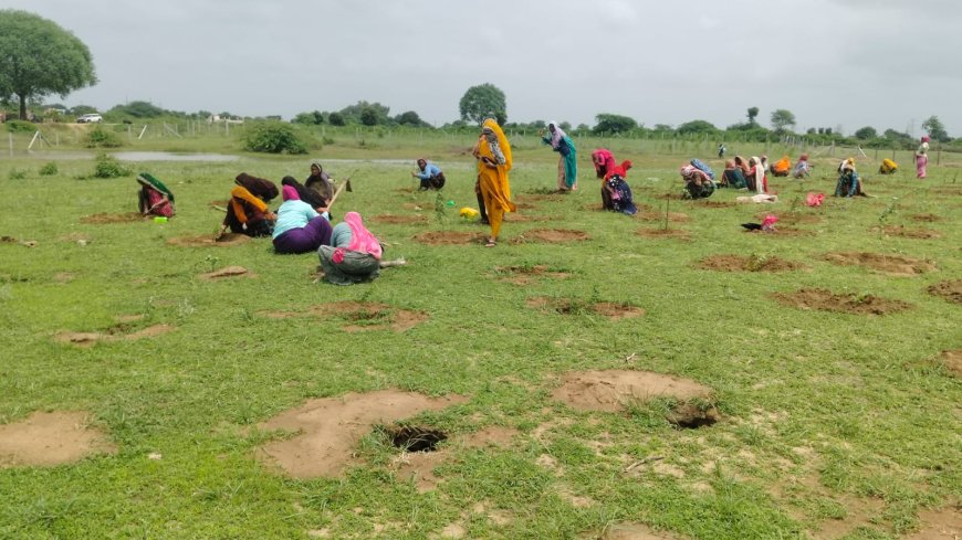 हरियाली की ओर जहाजपुर : सघन वृक्षारोपण से बदलेगा शहर का मिज़ाज