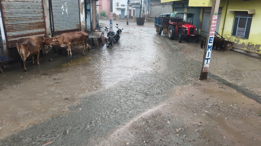 बारिश से मौसम हुआ सुहाना, किसान भी खुश