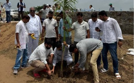 पूर्व विधायक महरूम जुबेर खान के जन्मदिन पर पौधारोपण उनके जीवन परिचय पर डाला प्रकाश