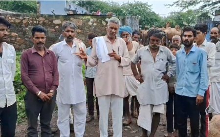 राजपुर बड़ा गांव में तेंदुए ने किया ऊंट का शिकार