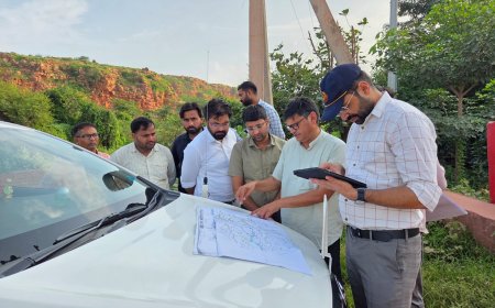 जिला कलक्टर ने रुपवास उपखंड के बांधों एवं जलभराव क्षेत्रों का लिया जायजा