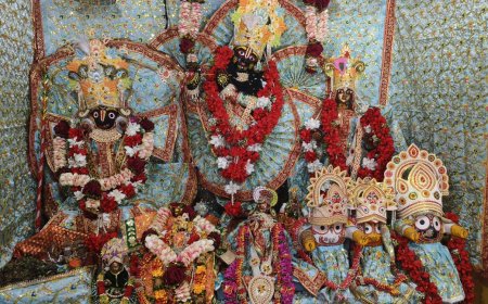 पांच दिवसीय हिंडोले झूलन  महोत्सव का  आगाज  मंगलवार 5 अगस्त से