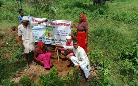 पेड़ लगाओ वन बचाओ महा अभियान का आगाज