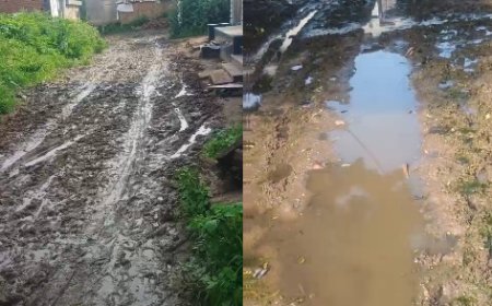 चैनाका खेड़ा रोड की हालत बदहालः कीचड़, जलभराव और गड्डों से भरी सड़क, ग्रामीणों का आवागमन हुआ मुश्किल