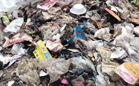 मौजपुर में न तो ग्राम पंचायत है और न ही नगर पालिका, सफाई व्यवस्था चरमराई लोग हुए परेशान