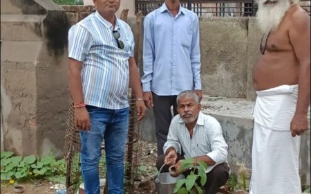 ममलेश्वर मंदिर परिसर में पार्षद ने किया पौधरोपण