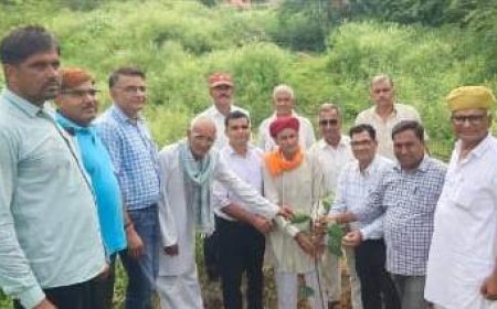 हरियालो राजस्थान के तहत बूढ बालाजी धाम आश्रम परिसर में लगाये  50 पेड़