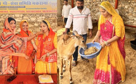 मकराना प्रधान सुमिता भींचर ने गौ सेवा कर मनाया जन्मदिन