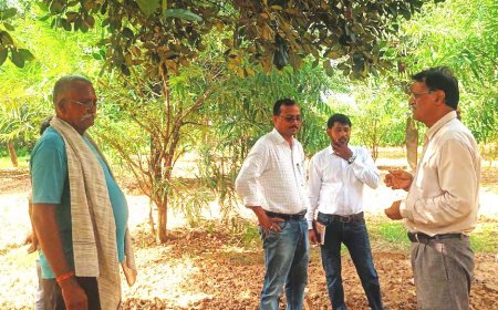 फलदार बगीचों की समस्याओं का अवलोकन कर बताया समाधान