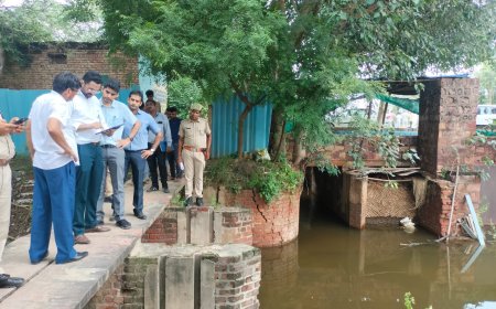 नालों की होगी सफाई, हटेंगे अतिक्रमण, कैनाल सिस्टम तक प्रवाह होगा सुचारू : जिला कलक्टर ने लगातार पांच घंटे निरीक्षण कर जल निकासी का लिया जायजा
