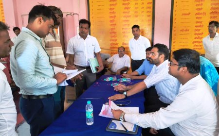 जिला कलक्टर  ग्रामीण क्षेत्र के दौरे पर:  चिकित्सा संस्थानों, जलभराव क्षेत्रों का निरीक्षण कर सालाबाद में की ग्राम स्तरीय जनसुनवाई