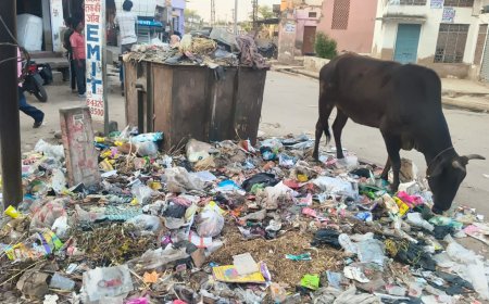 सफाई कर्मियों की दो दिनों से हड़ताल, लोग हुए  परेशान
