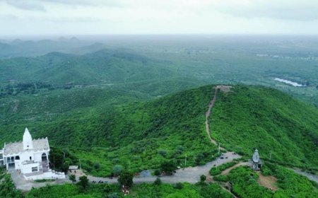 गुरलां की पहाड़ियों पर हरियाली छाई: इको पार्क में मानसून सीजन में हर रोज सैकड़ों सैलानी पहुंच रहे