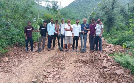 रक्षाबंधन व विश्व आदिवासी दिवस पर भैरू बाबा मंदिर क्षेत्र में लगाए बरगद के पौधे