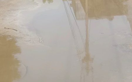 सफाई के अभाव में गुणावती में फैला गन्दा पानी