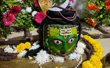 पुर में रोग मुक्तेश्वर महादेव के किया सहस्त्र धारा का अभिषेक एवं भंडारा का आयोजन