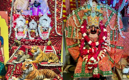 जन-जन के आस्था का केंद्र चौपड़ बाजार स्थित श्री जगन्नाथ मंदिर पर  16 अगस्त को होगा भव्य दशम दही हांडी महोत्सव