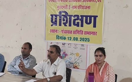 मुख्यमंत्री ई ग्राम प्रशिक्षण कार्यशाला का आयोजन