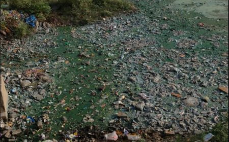 तालाब में भरा कचरा, बदबू से  आमजन हुआ बेहाल: देखरेख के अभाव में अपना अस्तित्व खोने के साथ ही अपनी बदहाल स्थित पर  तालाब  बहा रहा आंसू